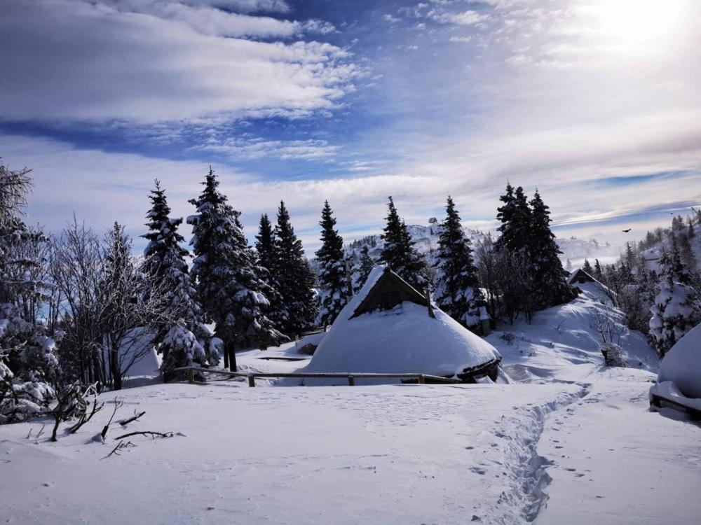 Chalet Resa - Velika Planina Stahovica Exterior photo